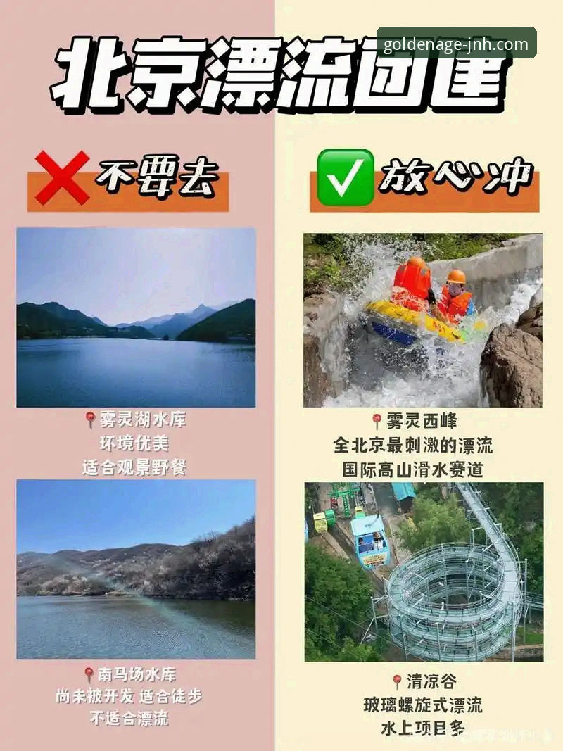 金年会官网下载 vs. 第三方渠道：哪个是更安全高效的安装路径？
